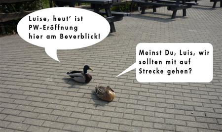 Foto: Hans Feyer - Gestaltung: Joachim Kutzner