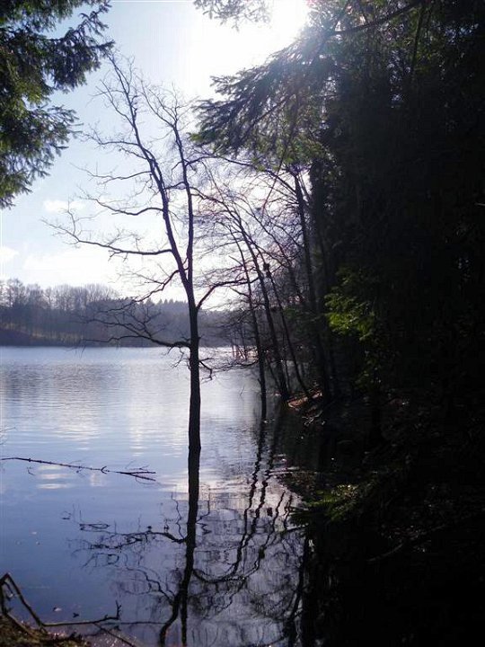 GTW-6km_060311_09.jpg - Wer mit offenen Augen wandert, der entdeckt immer wieder wunderschöne Eindrücke entlang des Uferwegs.