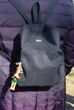 GTW-6km_060311_12.jpg - An jedem Ruckssack hing ein kleiner Talisman wie hier Pinocchio bei Heidi ..