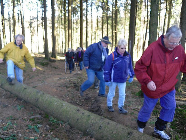 GTW-6km_060311_15.jpg - Kleine Hindernisse wurden elegant überwunden.