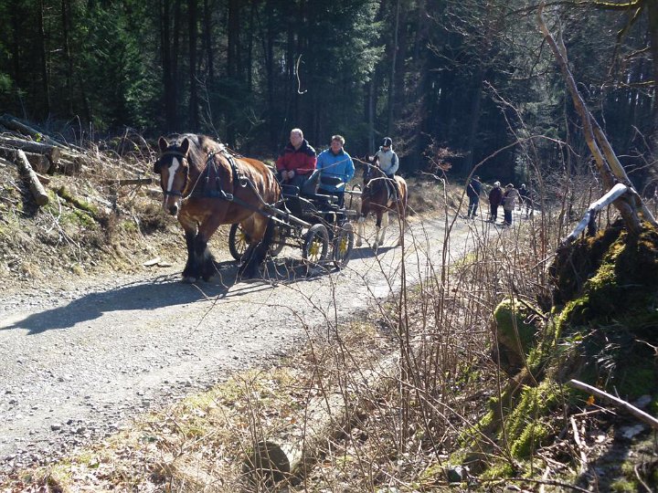 GTW-6km_060311_17.jpg - Da möchte man am liebsten aufsteigen und mitfahren!
