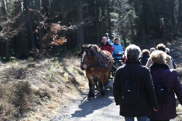 GTW-6km_060311_dit_10.jpg - Überraschende Begegnung mit Zwei- und Vierbeinern!