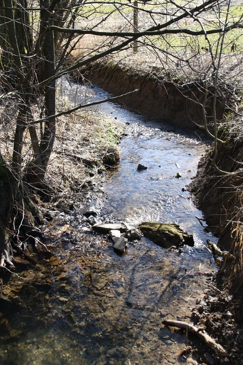 GTW-6km_060311_dit_11.jpg - An diesem Bach verließen wir die Talsperre und gingen durch den Wald hinauf zum Hof Eckenhausen.