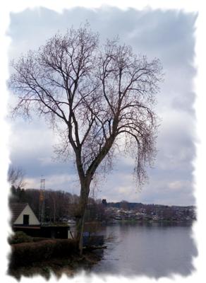 An der Bevertalsperre