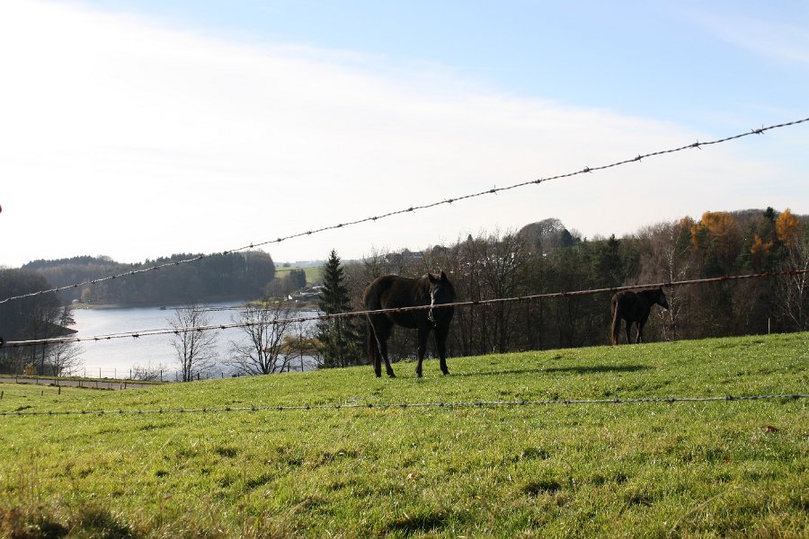 Von Wefelsen aus erstreckte sich die Staumauer der ersten Bevertalsperre.