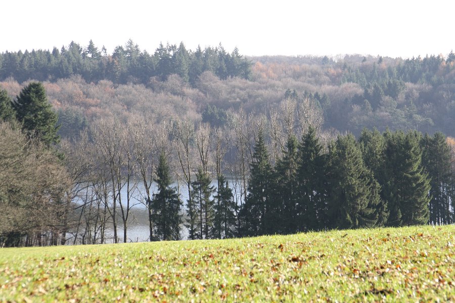 Durch die Bäume scheint der Anfang des Stooter Arms.