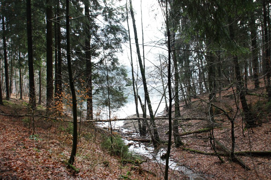 Immer wieder folgt der Uferwanderweg den kleinen Buchten des Stooter Arms.