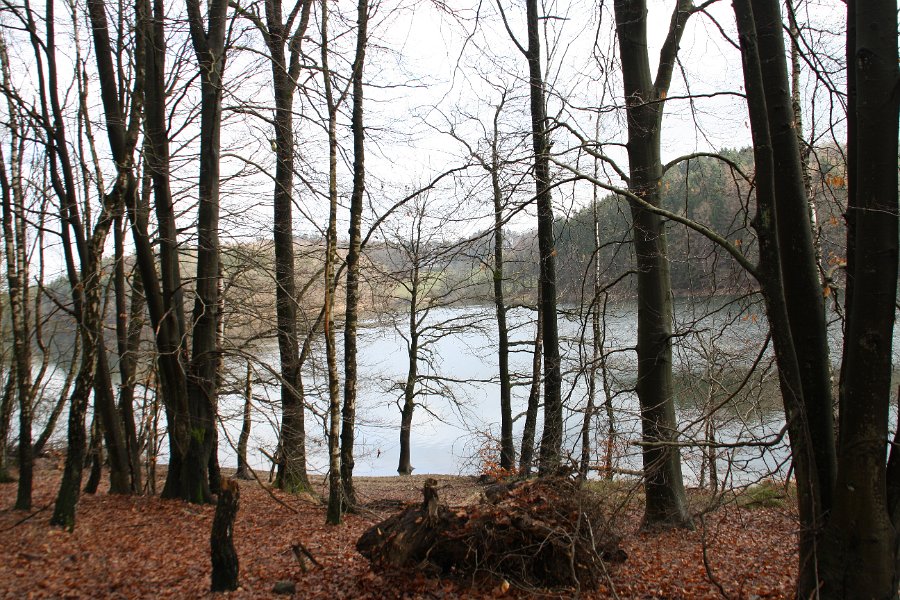 Geradeaus durch die Bäume hindurch erahnt der Kundige über dem anderen Ufer die Villa Hardt.