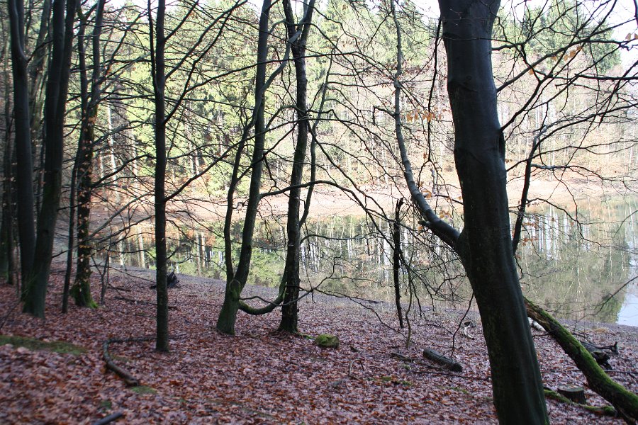 Diese Aufnahme entstand im Februar.