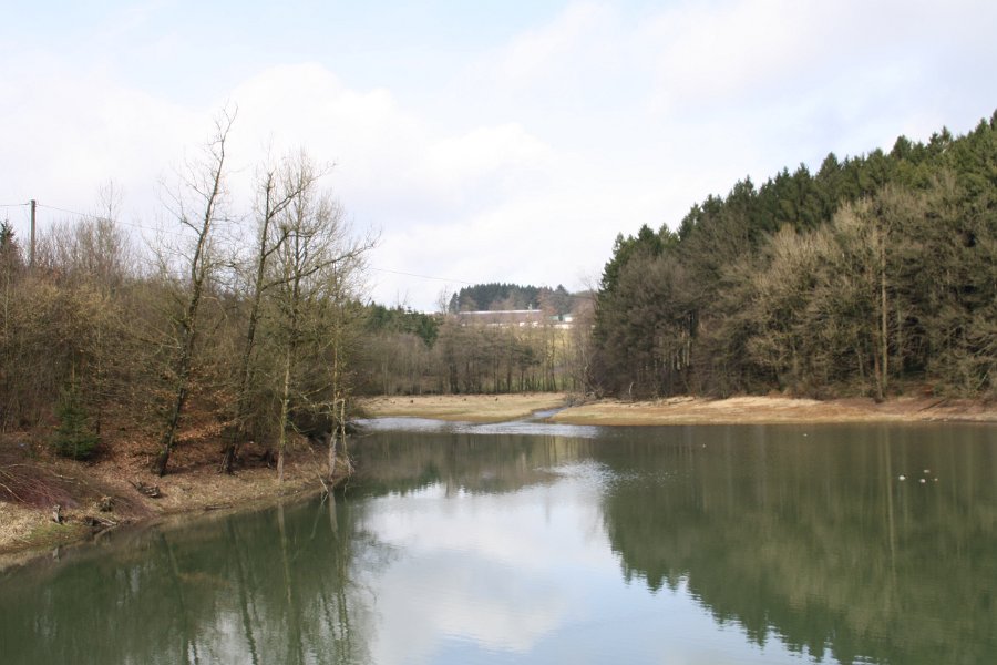 Hier rasten gerne im Herbst und Frühling Zugvögel.