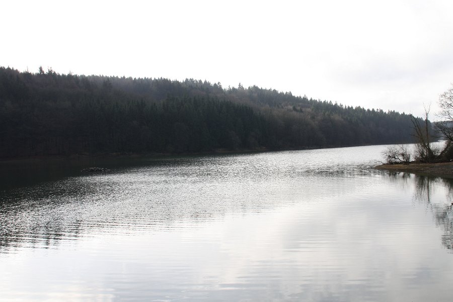 Auf der Höhe am linken Ufer werden wir dem Weg durch den Wald bis Höhfeld folgen.