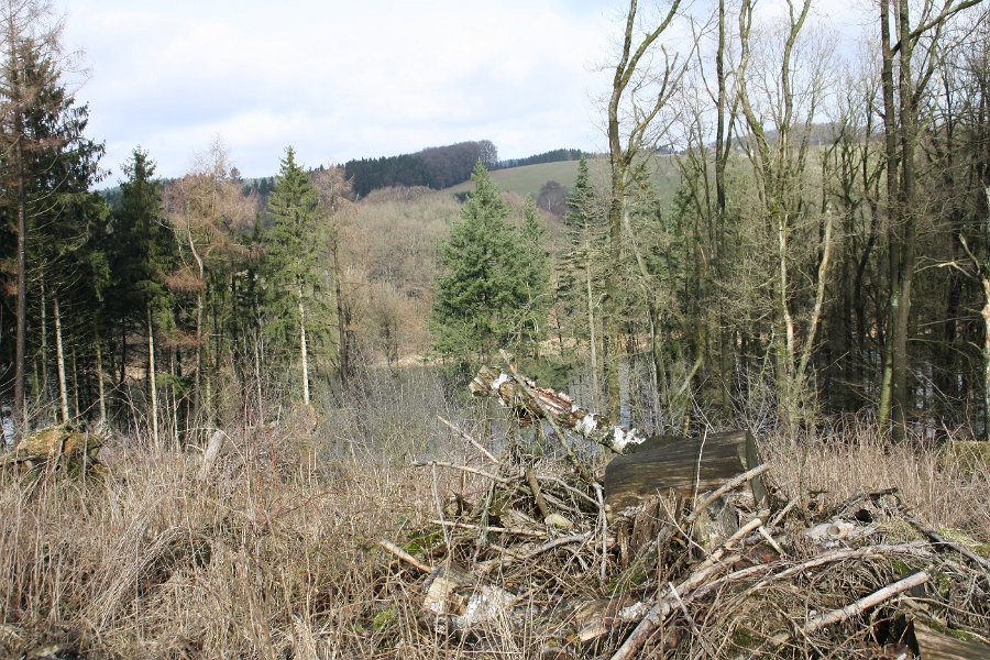 Im Frühjahr, bevor das Laub kommt, kann man immer wieder schöne Blicke durch den Mischwald auf den Stooter Arm erhaschen.