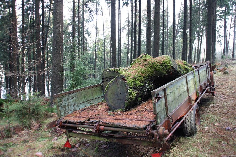 Gefällt und nicht abgeholt