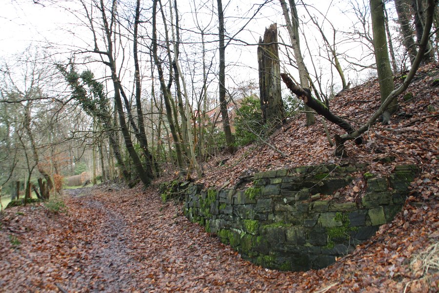 In Kleinhöhfeld in der Nähe der Villa Hardt - Tipp: links am Beginn des Weges, der hinunter zur Talsperre führt, wächst im Frühjahr der Waldmeister.