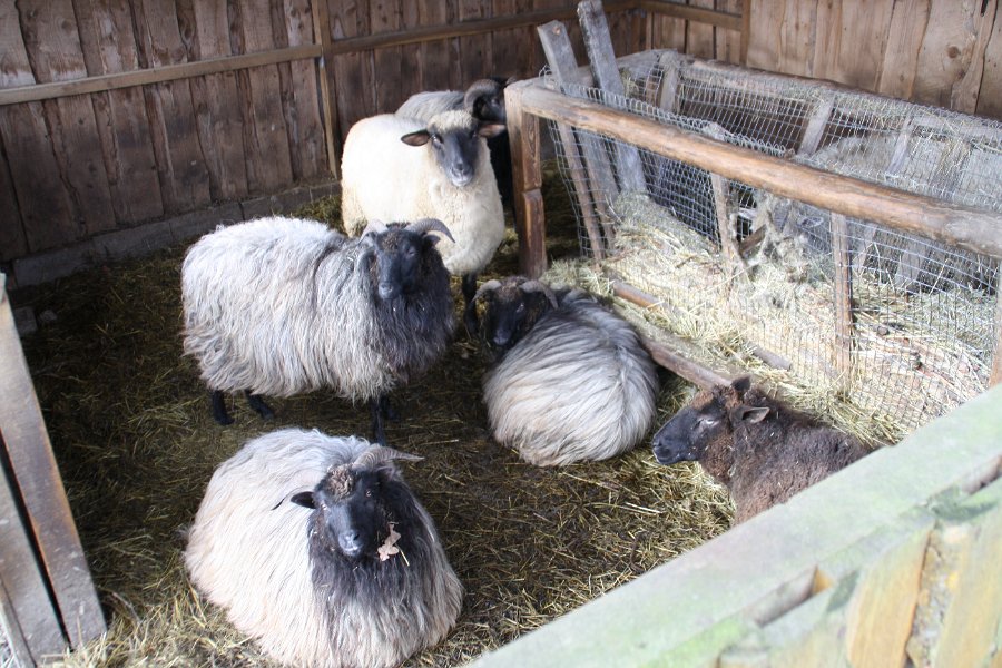Wir sind in der Hofschaft Höhe angelangt.