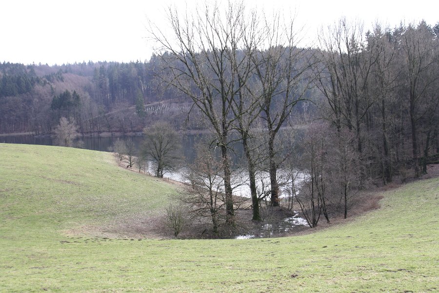 Auf dem Sträßchen von Höhe nach Großhöhfeld folgt man dem Unterlüttgenauer Arm der Talsperre.