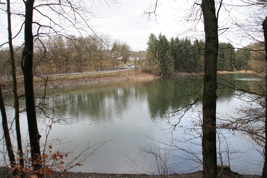 Blick zurück auf den Damm, der den Unterlüttgenauer Arm teilt.