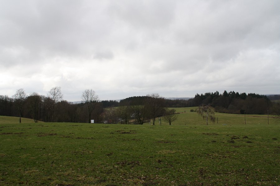Durch die Bäume scheint die Hofschaft Oberlangenberg.