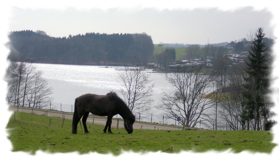 Blick von Wefelsen auf die Bucht des Campingplatzes II