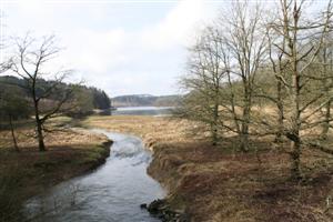 An der Bevertalsperre - (c) Ditmar Jäger