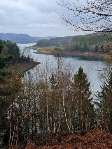 Was für ein herrlicher Ausblick auf die Große Dhünntalsperre!