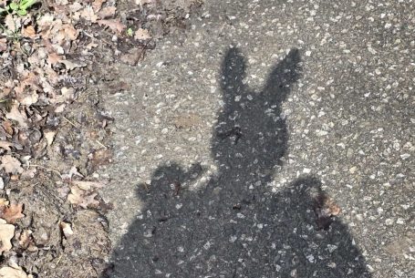 Offenbar war der Osterhase auch dabei :-).