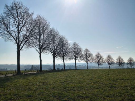 Unterwegs auf der Großen Strecke