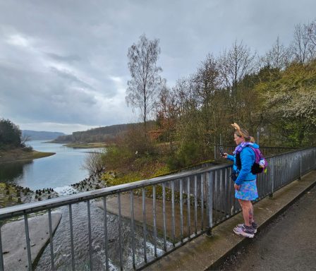 Am Einlauf der Kleinen Dhünn in die Vorsperre Kleine Dhünn