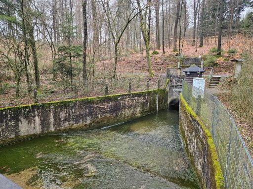 Eingang zum rd. 800 m langen Verbindungsstollen von der Neye- zur Bevertalsperre (Neye-Seite)