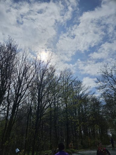 Wetter wird noch besser ... :-)))