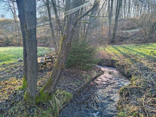 Die noch kleine Große Dhünn